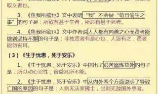 初中语文知识点总结